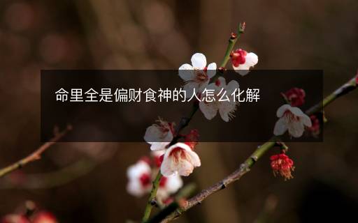 命里全是偏財食神的人怎么化解