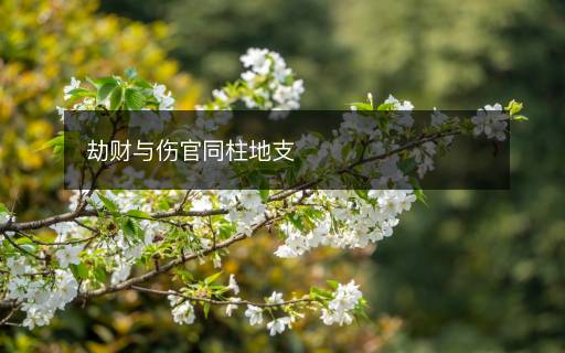 劫財與傷官同柱地支