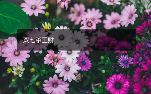 雙七殺正財(cái)