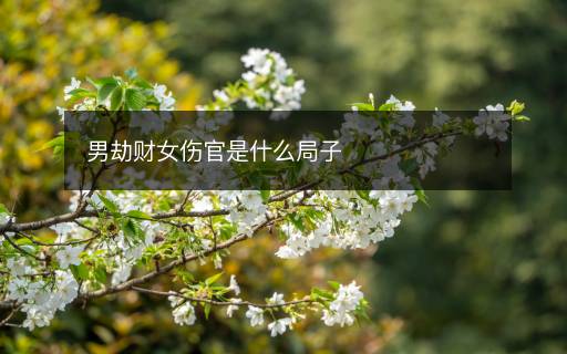 男劫財女傷官是什么局子