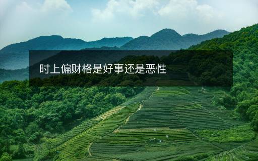 時(shí)上偏財(cái)格是好事還是惡性
