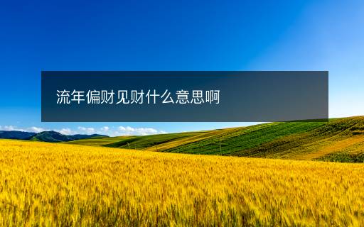 流年偏財見財什么意思啊