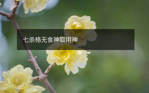 七殺格無食神取用神