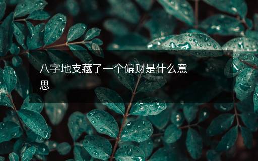 八字地支藏了一個偏財是什么意思