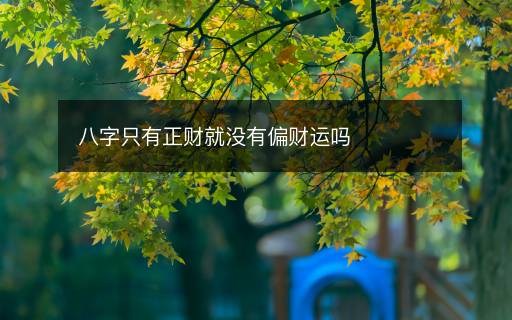 八字只有正財就沒有偏財運嗎