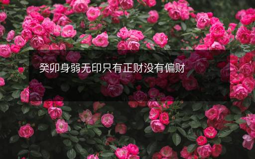 癸卯身弱無印只有正財沒有偏財