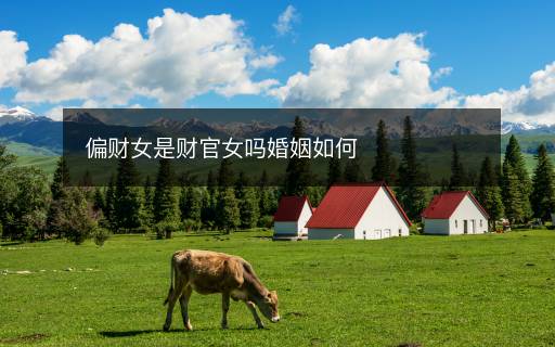 偏財女是財官女嗎婚姻如何