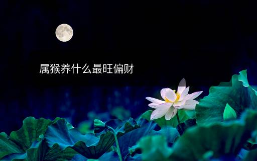 屬猴養(yǎng)什么最旺偏財